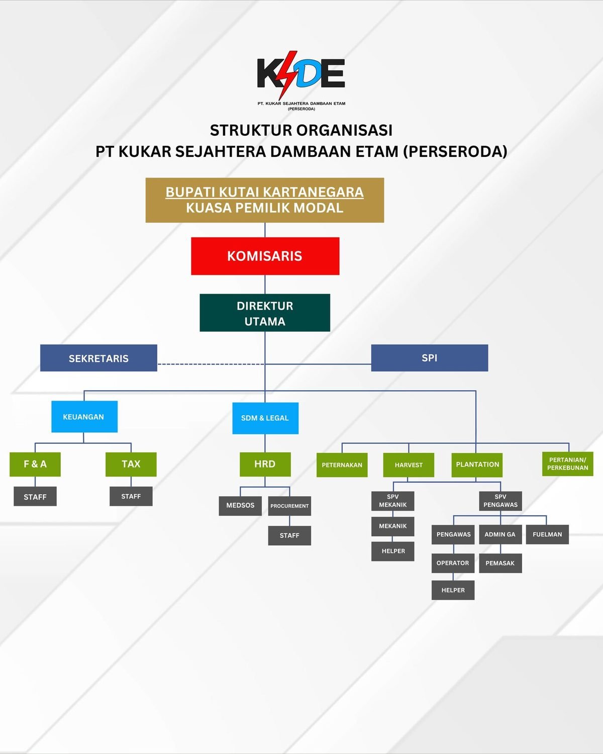 Struktur Organisasi PT KSDE Perseroda